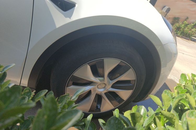 Tesla Model Y 2022 #6 Tesla Model Y 2022 car image #6