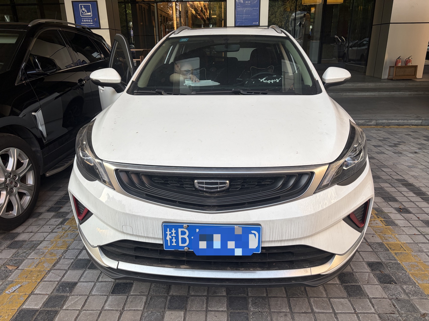 GEELY Emgrand GS 2020 car image #2