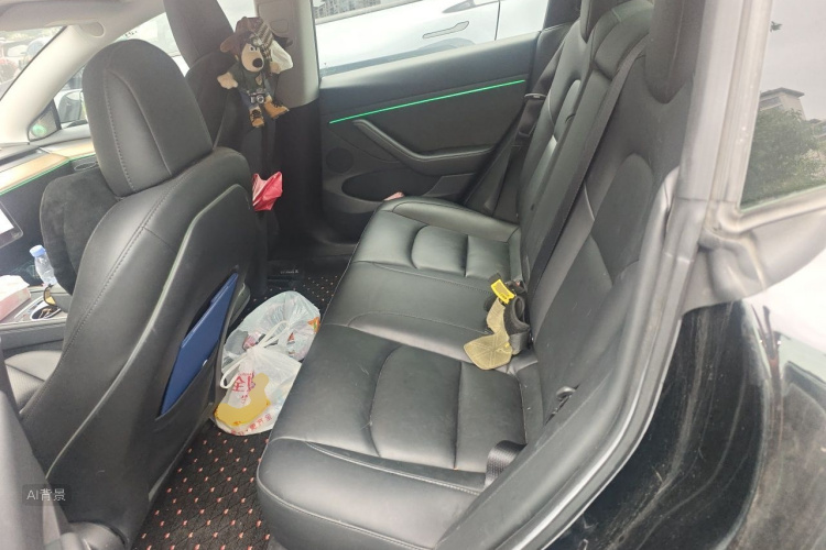 Tesla Model 3 2021 car image #19