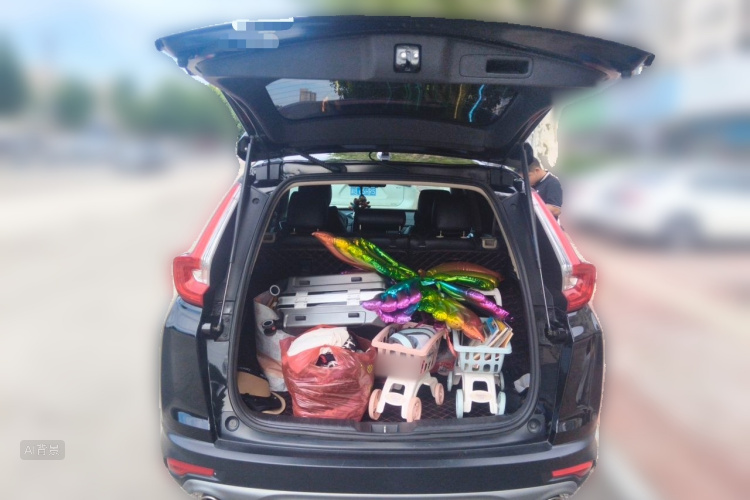 Honda CR-V 2019 car image #21
