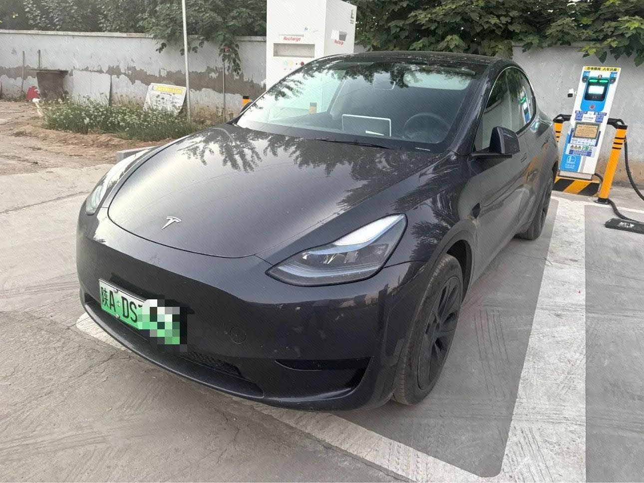Tesla Model Y 2024 car image 