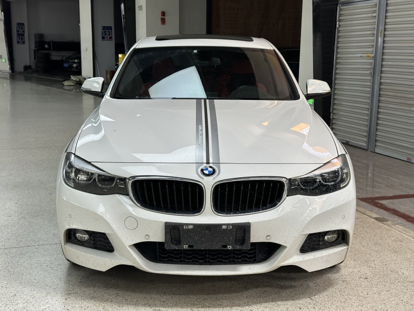 BMW 3 Series GT 2019 car image #2