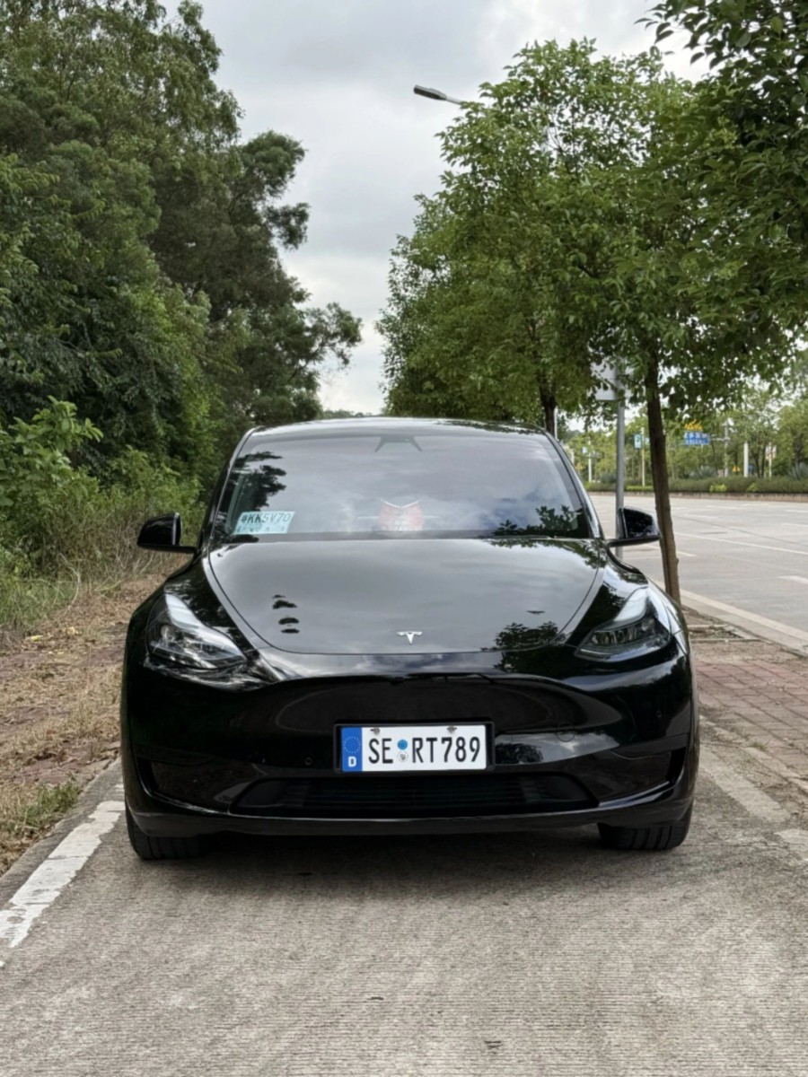 Tesla Model Y 2022 car image #3
