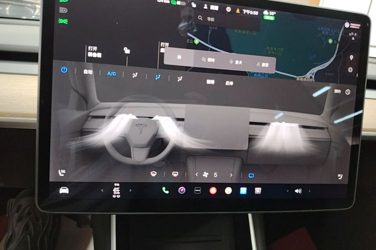 Tesla Model 3 2020 car image #13