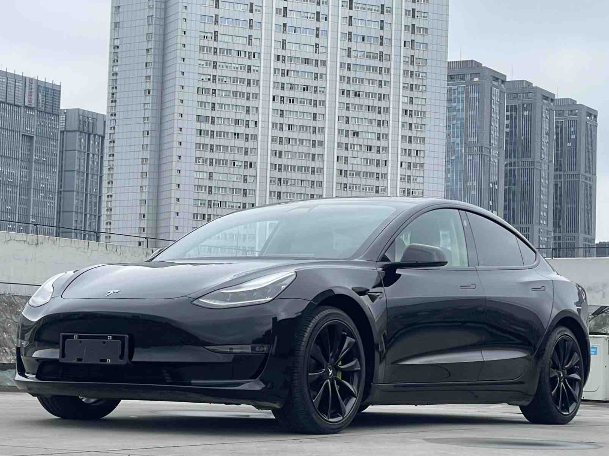 Tesla Model 3 2020 car image 