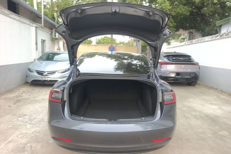 Tesla Model 3 2021 #19 Tesla Model 3 2021 immagine di auto #19