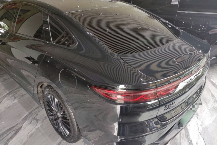 BYD Han 2022 immagine di auto #5