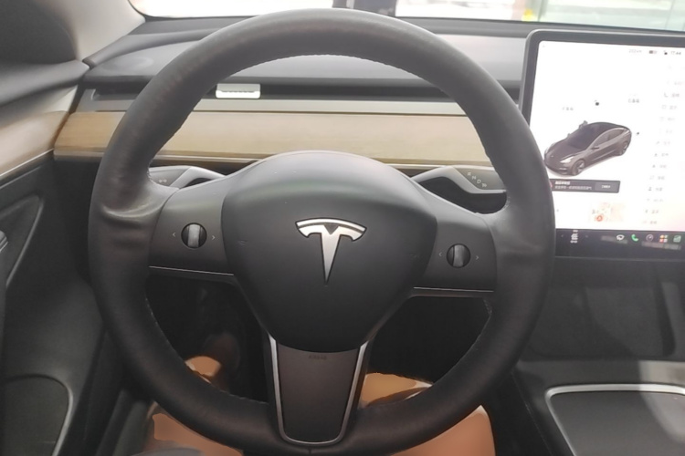 Tesla Model 3 2021 #15 Tesla Model 3 2021 car image #15