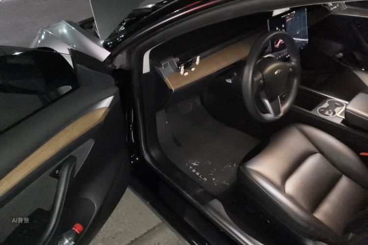 Tesla Model 3 2021 #18 Tesla Model 3 2021 car image #18