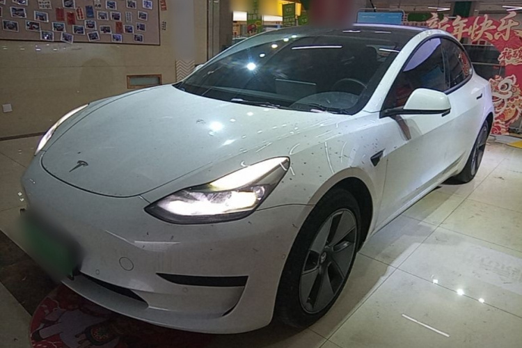 Tesla Model 3 2021 car image #2