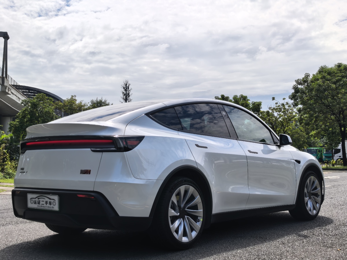 Tesla Model Y 2025 car image #10