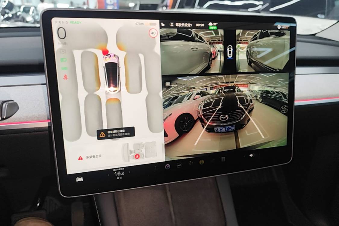Tesla Model Y 2024 car image #19