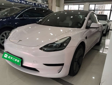 Tesla Model 3 2023 Tesla Model 3 2023 car image