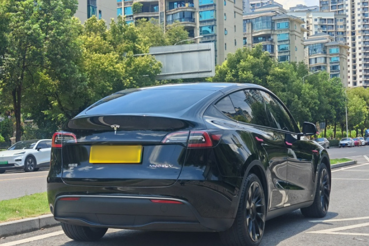 Tesla Model Y 2021 #9 Tesla Model Y 2021 car image #9