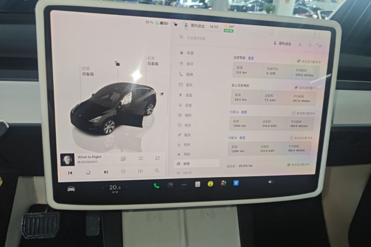 Tesla Model Y 2023 car image #13