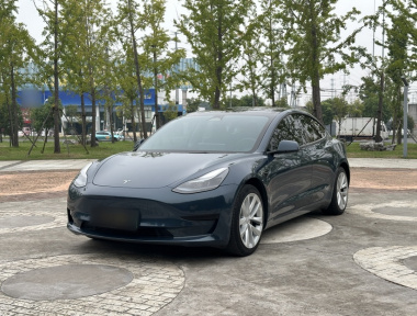 Tesla Model 3 2023 Tesla Model 3 2023 car image