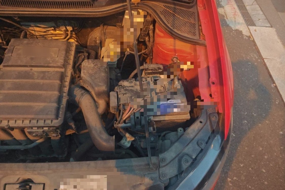 Volkswagen Polo 2017 car image #12