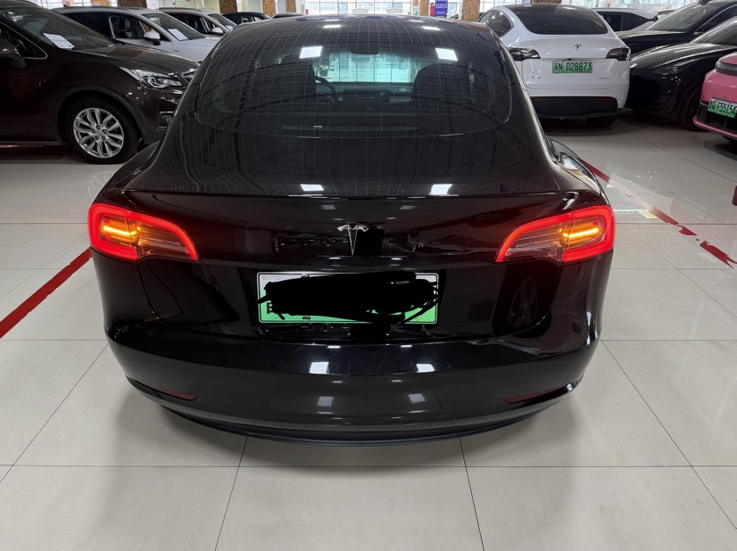 Tesla Model 3 2022 #7 Tesla Model 3 2022 car image #7
