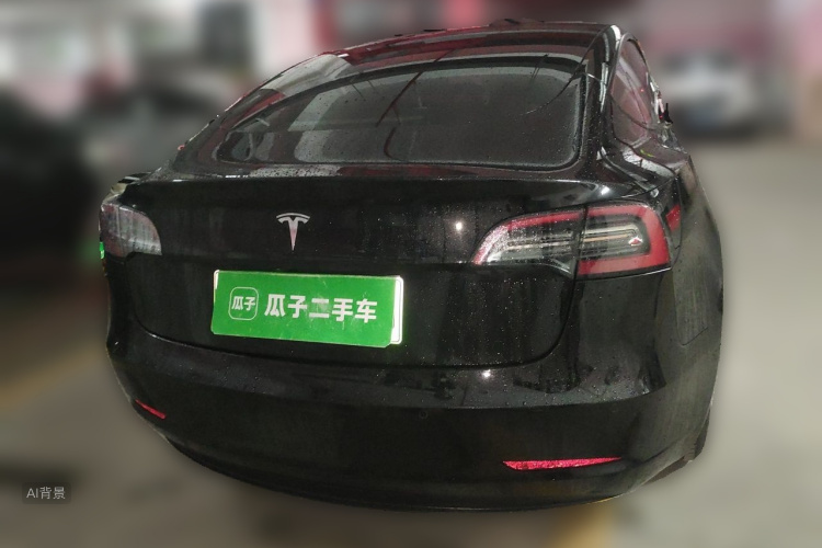 Tesla Model 3 2021 car image #6