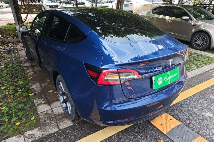 Tesla Model 3 2021 #5 Tesla Model 3 2021 car image #5