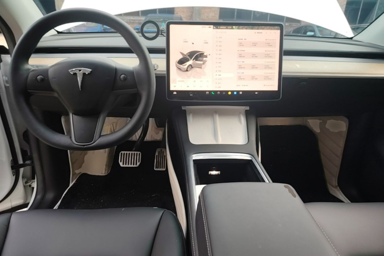 Tesla Model Y 2023 car image #10