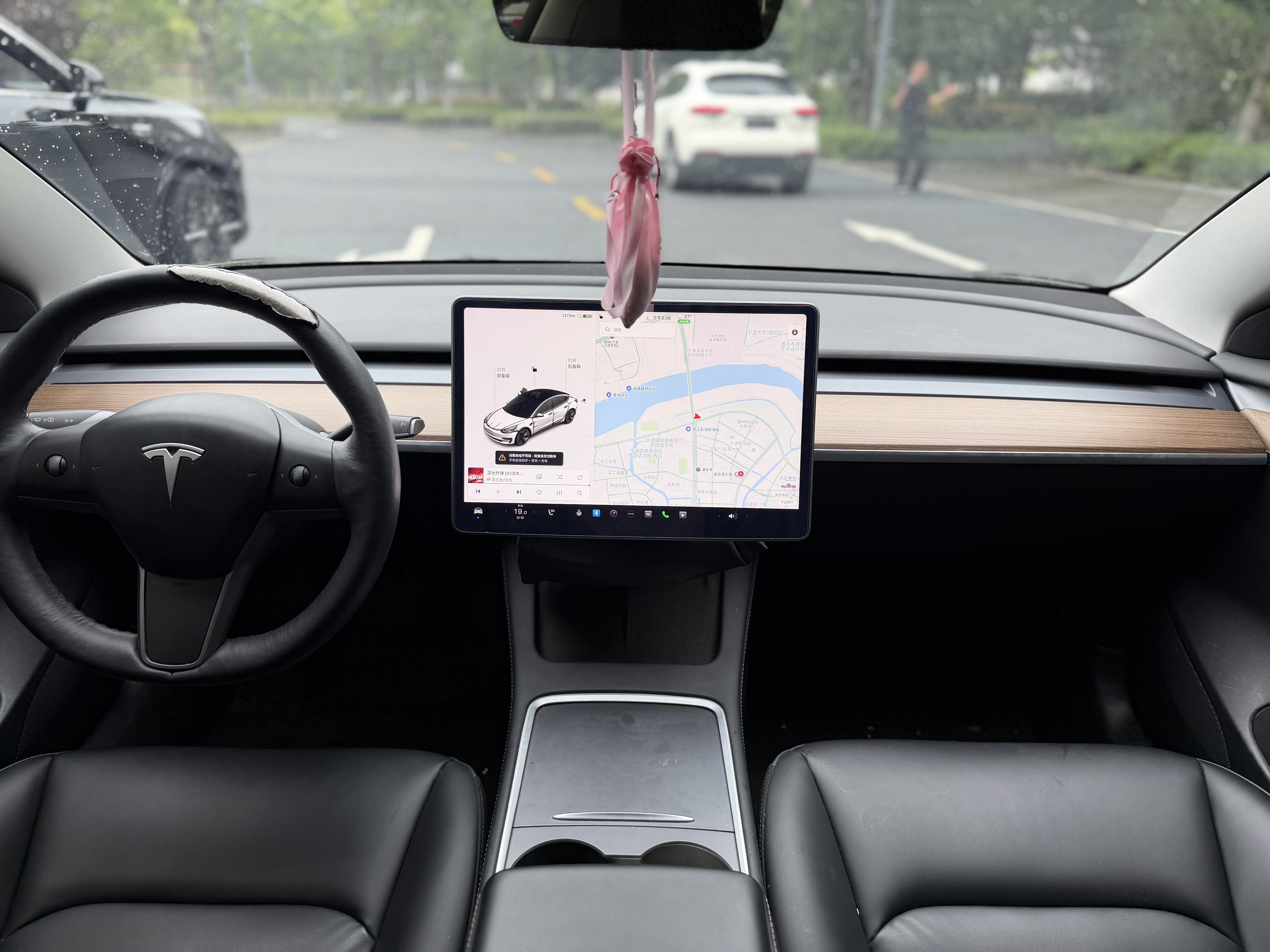 Tesla Model 3 2021 immagine di auto #8