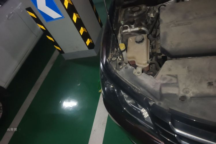 GEELY Emgrand 2015 car image #8