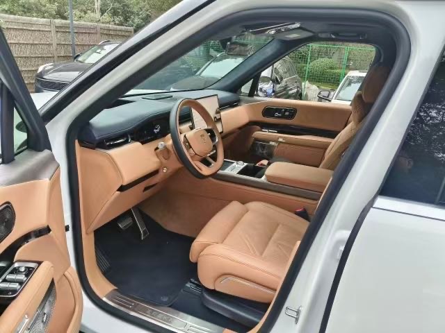 极氪 极氪9X 2025 汽车图片 #3