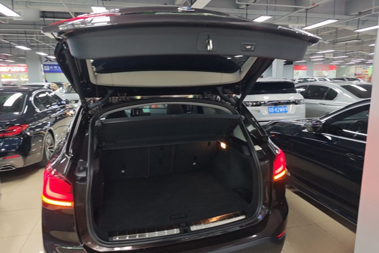 BMW X1 New Energy 2020 car image #19