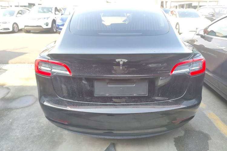 Tesla Model 3 2020 car image #6