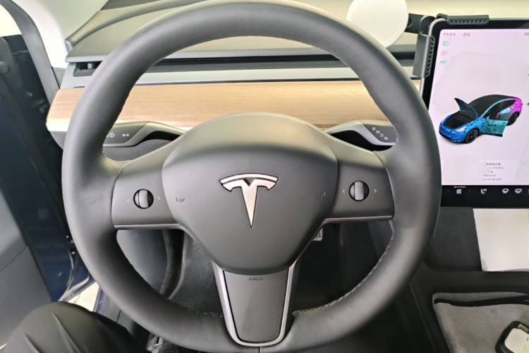 Tesla Model Y 2021 car image #11