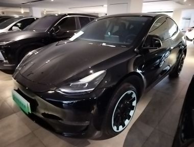 Tesla Model Y 2023 Tesla Model Y 2023 car image