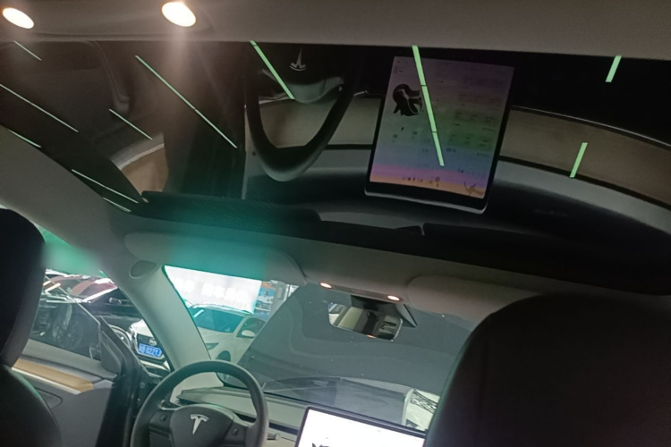Tesla Model 3 2021 #18 Tesla Model 3 2021 car image #18