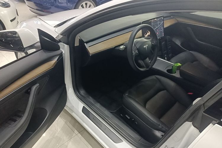 Tesla Model 3 2021 #16 Tesla Model 3 2021 car image #16