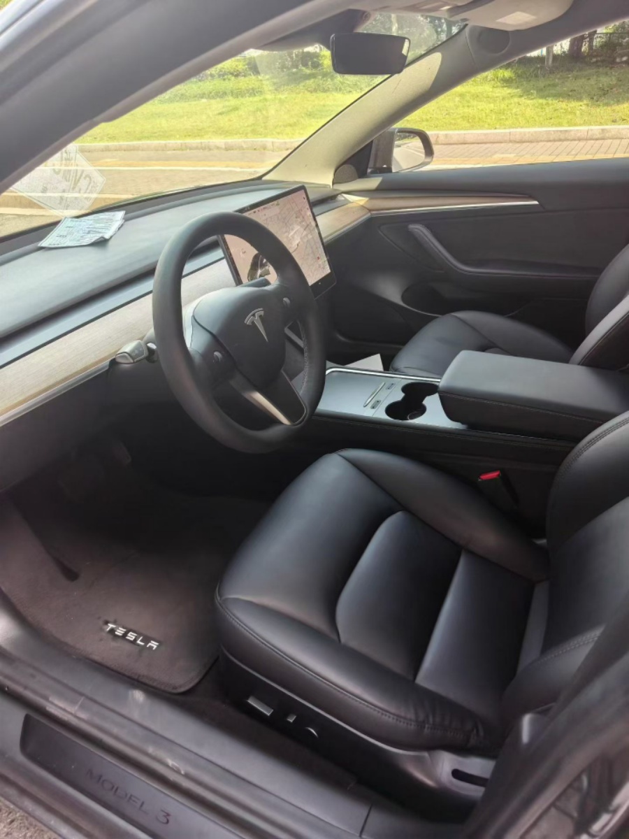 Tesla Model 3 2021 #6 Tesla Model 3 2021 car image #6