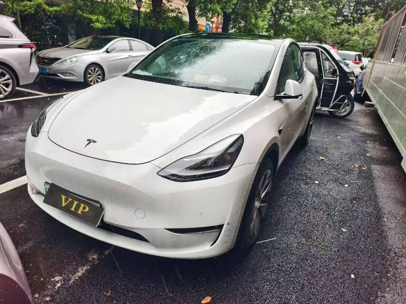 Tesla Model Y 2021 Tesla Model Y 2021 car image
