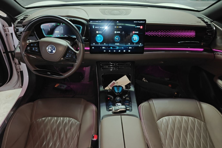 BYD Han 2020 car image #10
