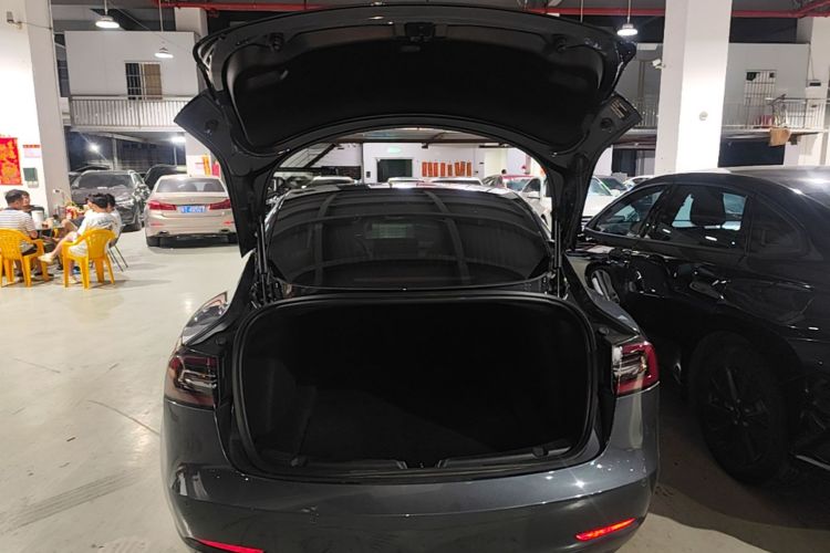 Tesla Model 3 2020 immagine di auto #21