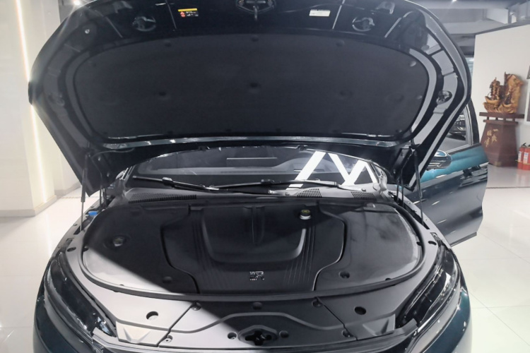 BYD Han 2023 #20 BYD Han 2023 immagine di auto #20