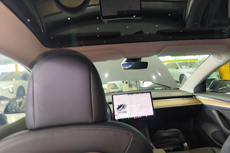 Tesla Model 3 2021 #20 Tesla Model 3 2021 car image #20