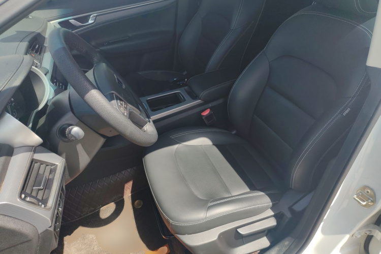 GEELY Emgrand GS 2019 imagen de coche #15