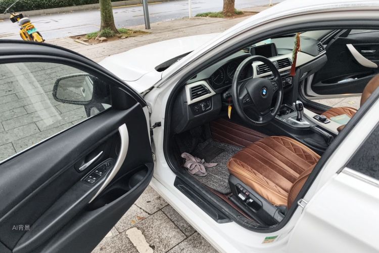 BMW 3 Series 2015 car image #18