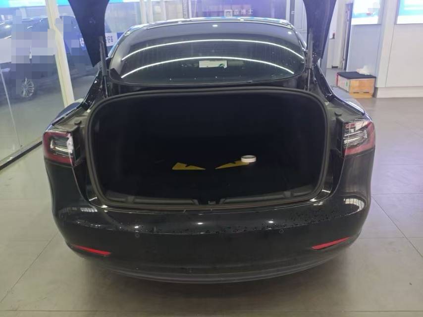 Tesla Model 3 2020 #11 Tesla Model 3 2020 car image #11