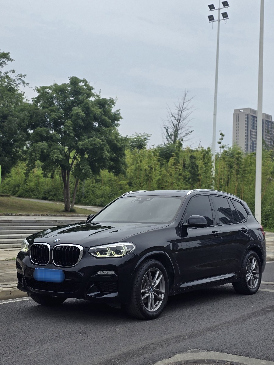BMW X3 2019 car image 