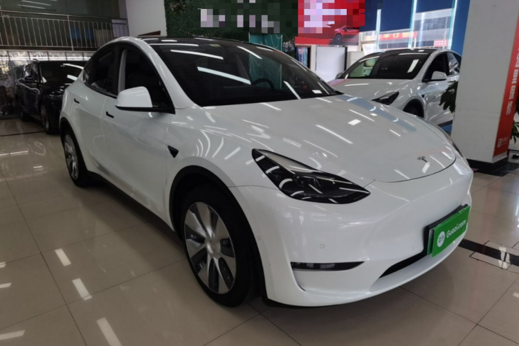 Tesla Model Y 2021 car image #4