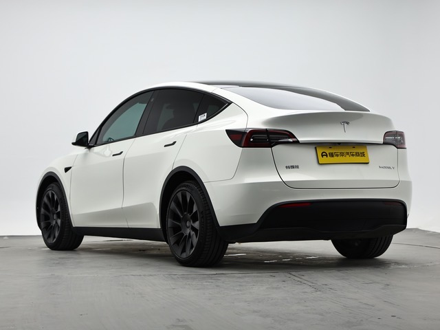 Tesla Model Y 2021 car image #7