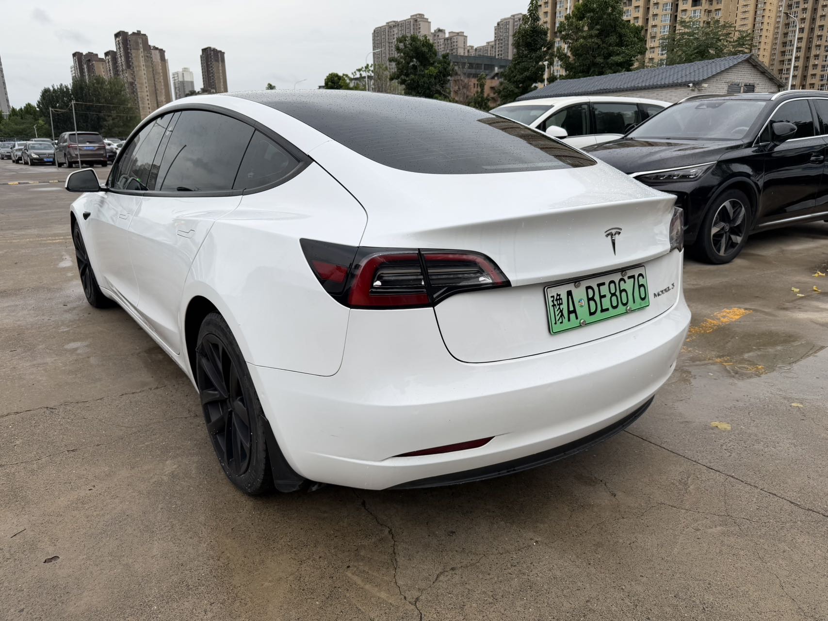 Tesla Model 3 2022 #7 Tesla Model 3 2022 car image #7