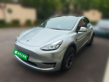Tesla Model Y 2023 Tesla Model Y 2023 car image