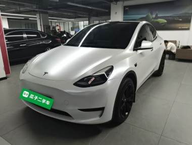 Tesla Model Y 2024 Tesla Model Y 2024 car image