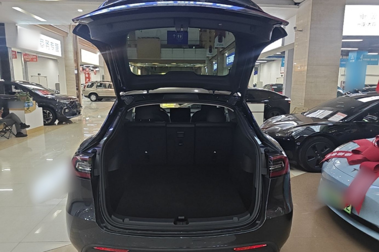 Tesla Model Y 2024 #19 Tesla Model Y 2024 car image #19